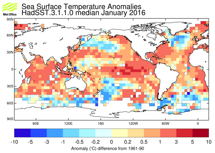 HadSST3 sea-surface temperature anomaly map for January 2016