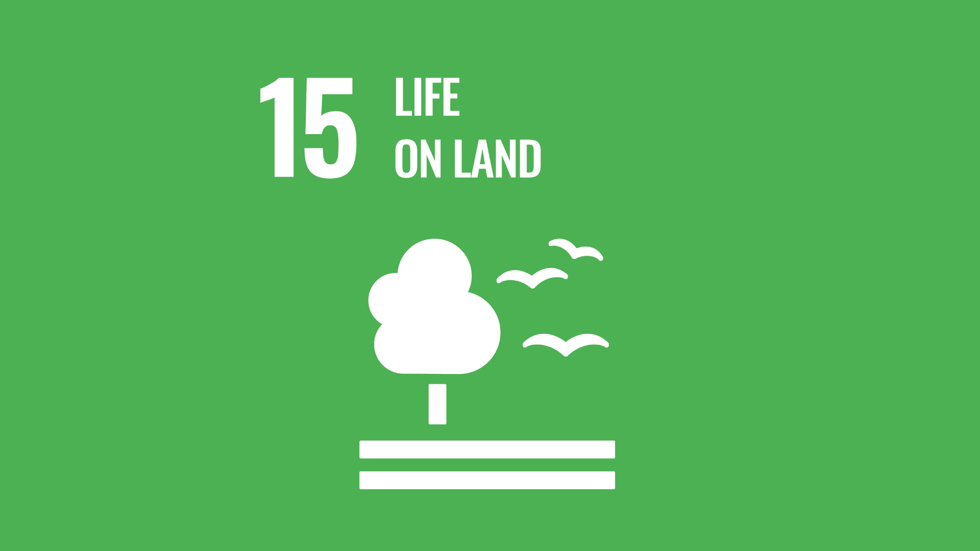 15-life-on-land