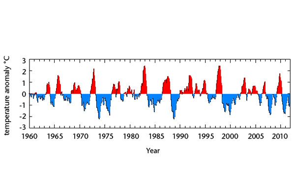 600x400-enso-noshadow