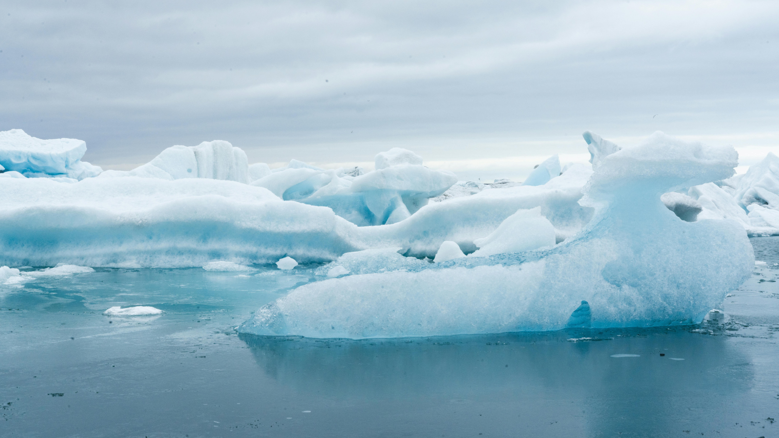 Shrinking Arctic sea ice is an indicator of climate change impacts on a particularly climate-vulnerable region