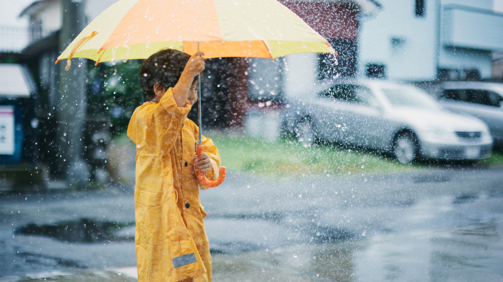 A child with a brolly.