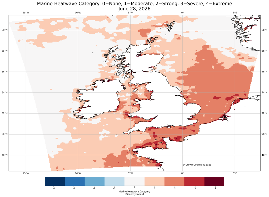 Marine Heatwave Category 28 June 2026