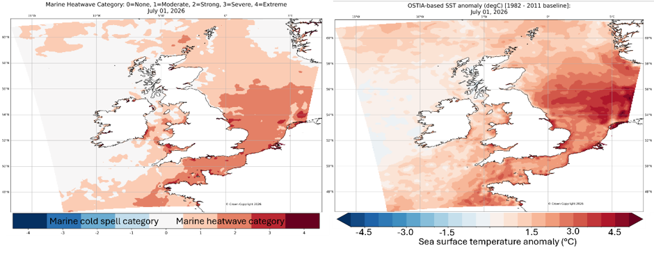 Marine Heatwave Category and Sea Surface Temperature anomaly 1 July 2026