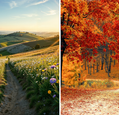A view of spring and autumn
