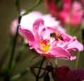 aaron-scamihorn-c7tzchyfh4g-unsplash