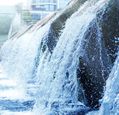 adobestock_428397714