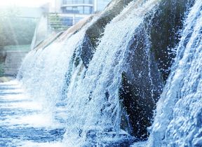 adobestock_428397714