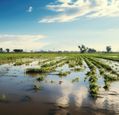 adobestock_629788542