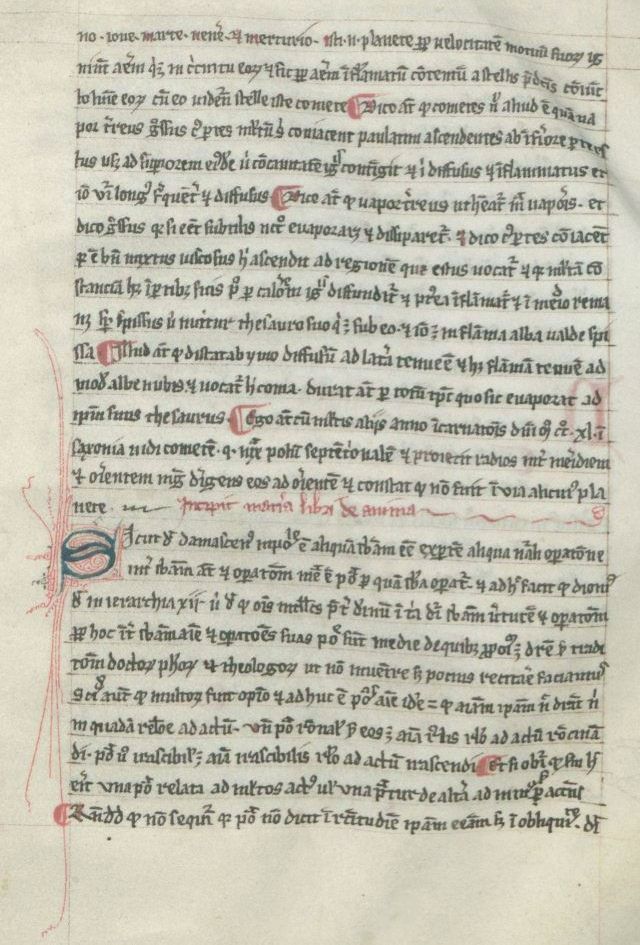 albertus_magnus_illuminated_page