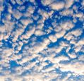altocumulus