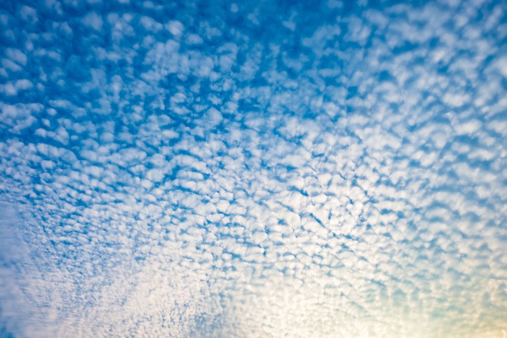 Altocumulus clouds