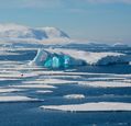 antarctic-sea-ice-adobestock_284369469