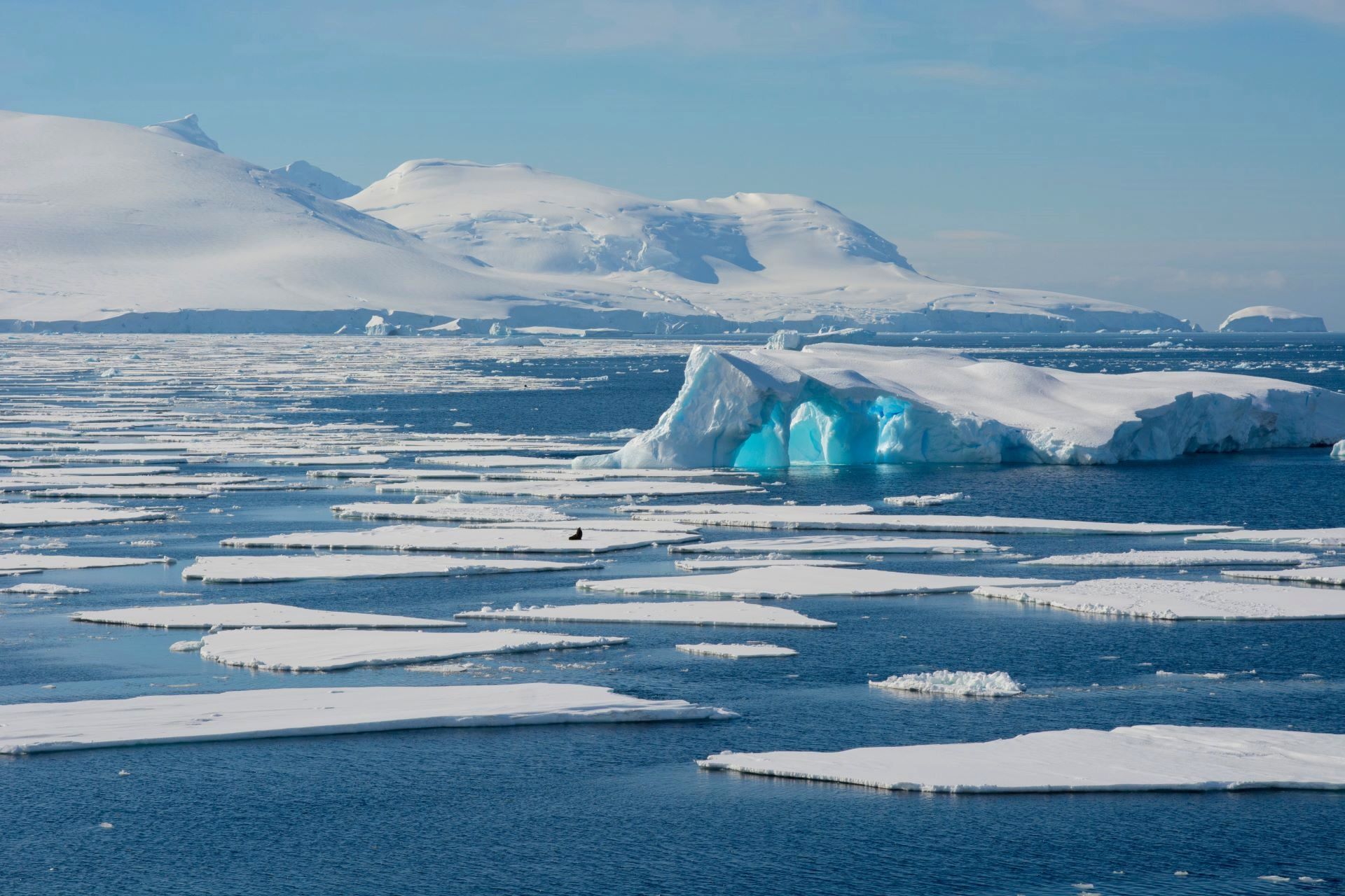 Ice fields in the Antarctic with blue skies in the background.