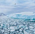 antarctica-icebergs-adobestock_217568747-1280