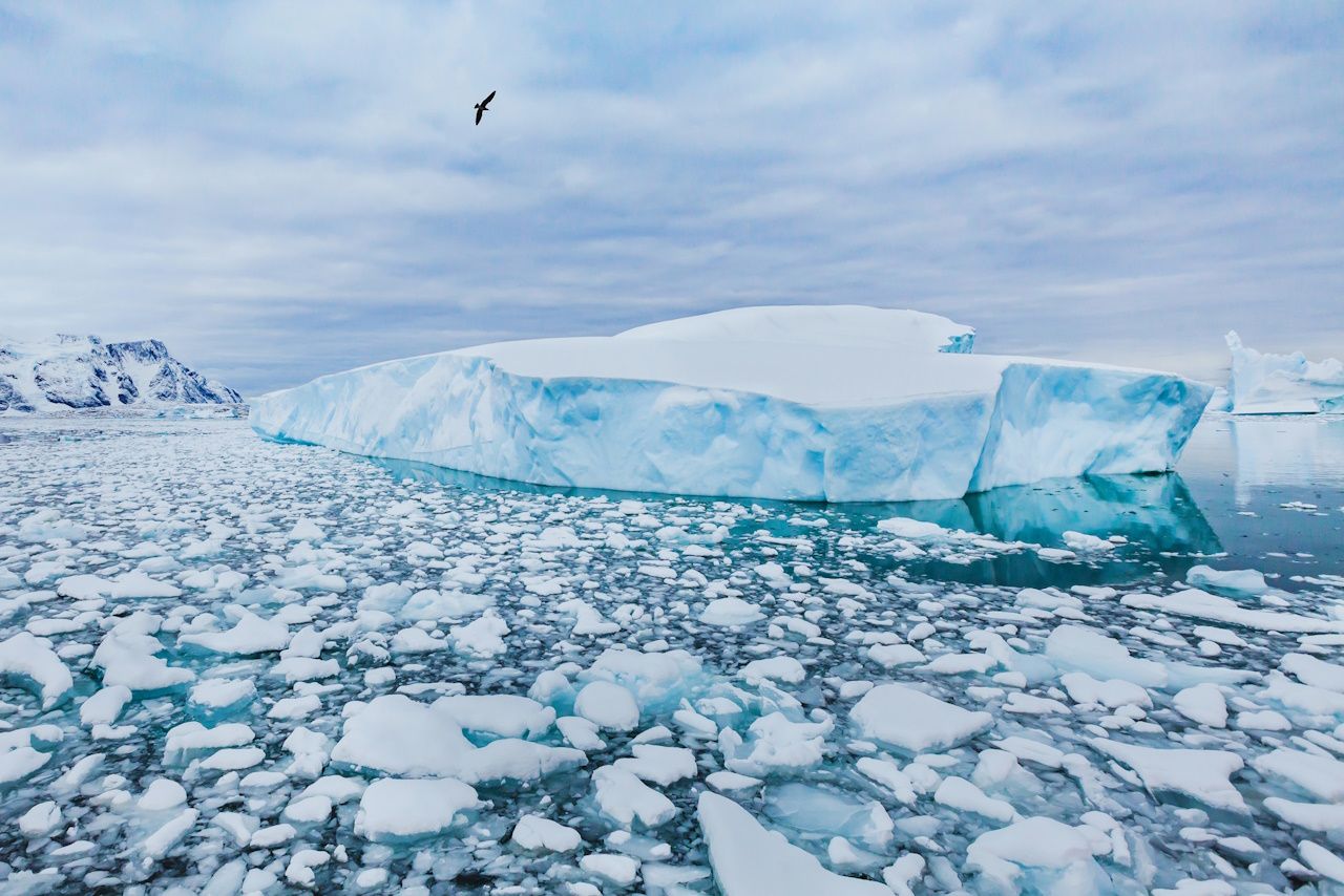 antarctica-icebergs-adobestock_217568747-1280