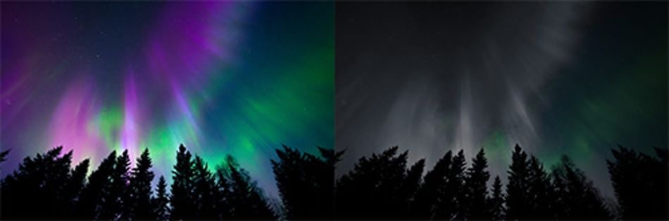 aurora-comparison