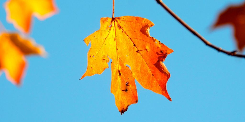 Joint-warmest September on record for UK - Met Office