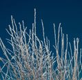 bernd-dittrich-qrracpktbdi-unsplash
