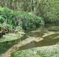 chalk-stream