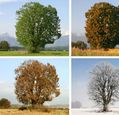 changing-seasons2
