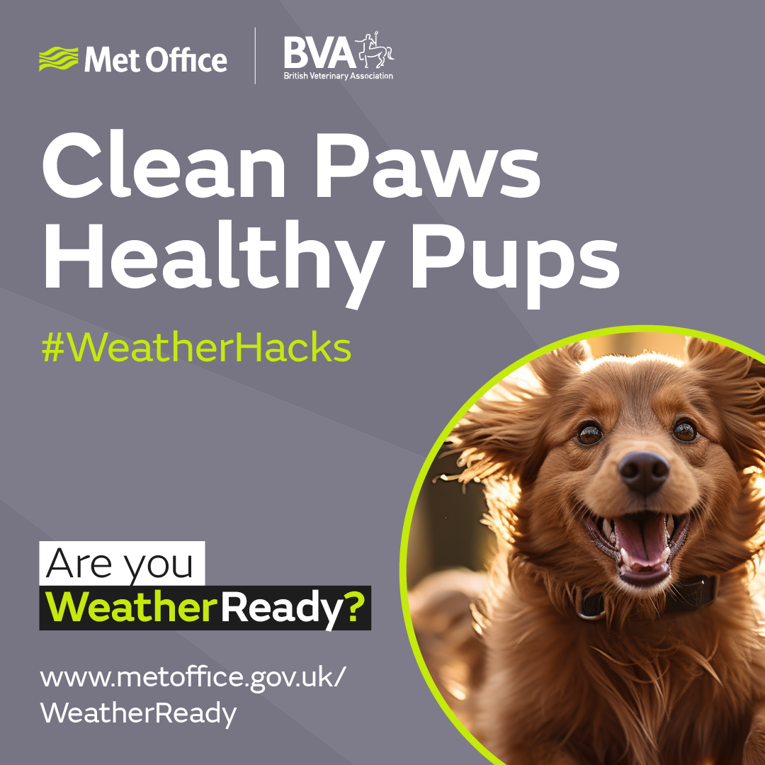 Clean paws Healthy pups, WeatherHack with the British Veterinary Association