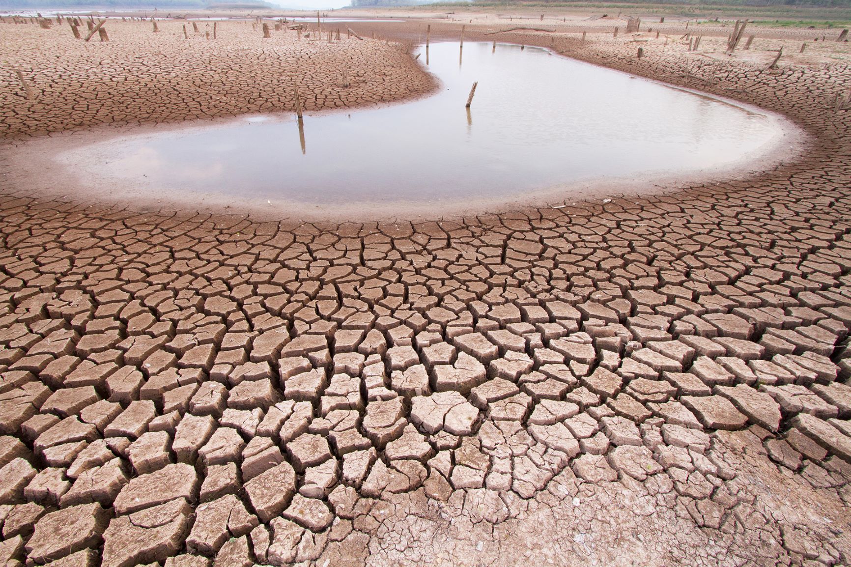 Dried out lake. 