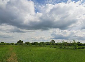cloudy-sky-summer-2