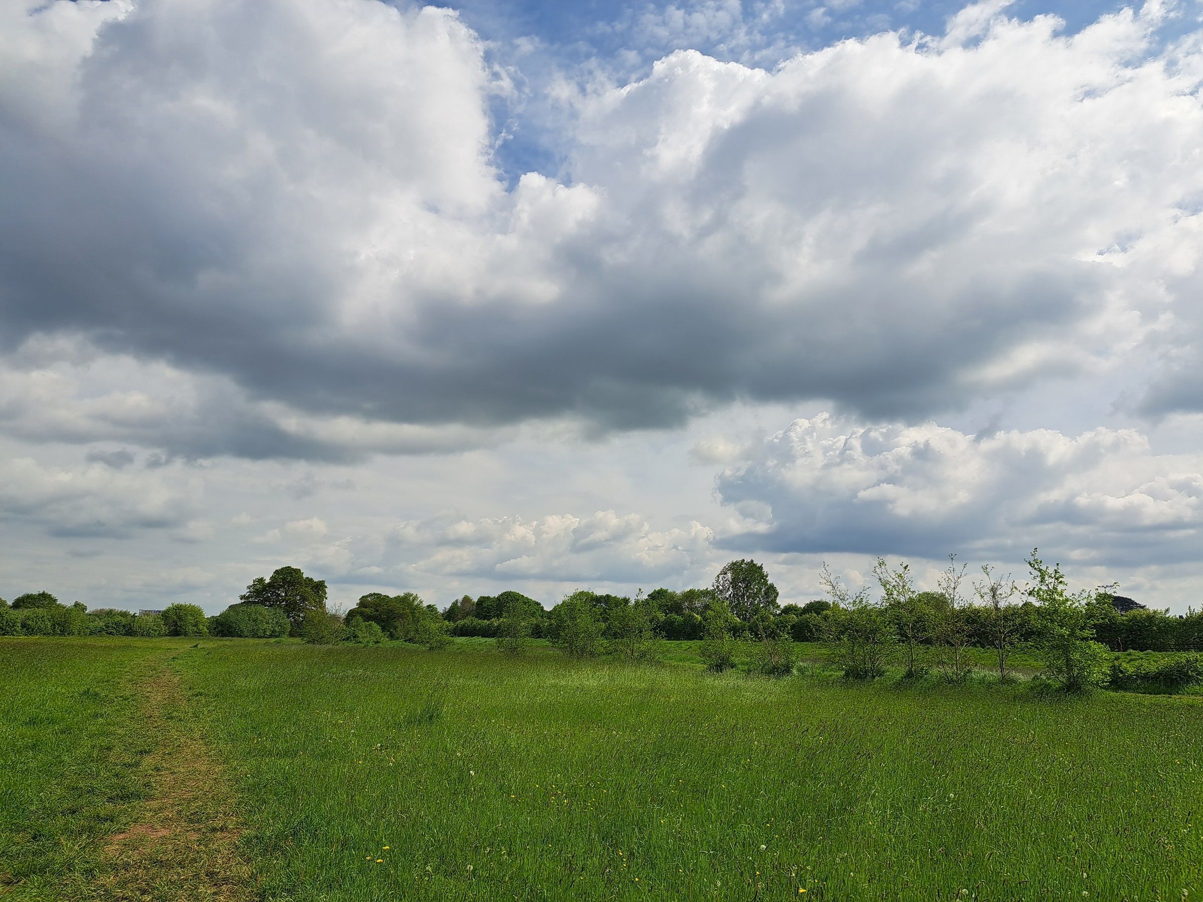cloudy-sky-summer-2