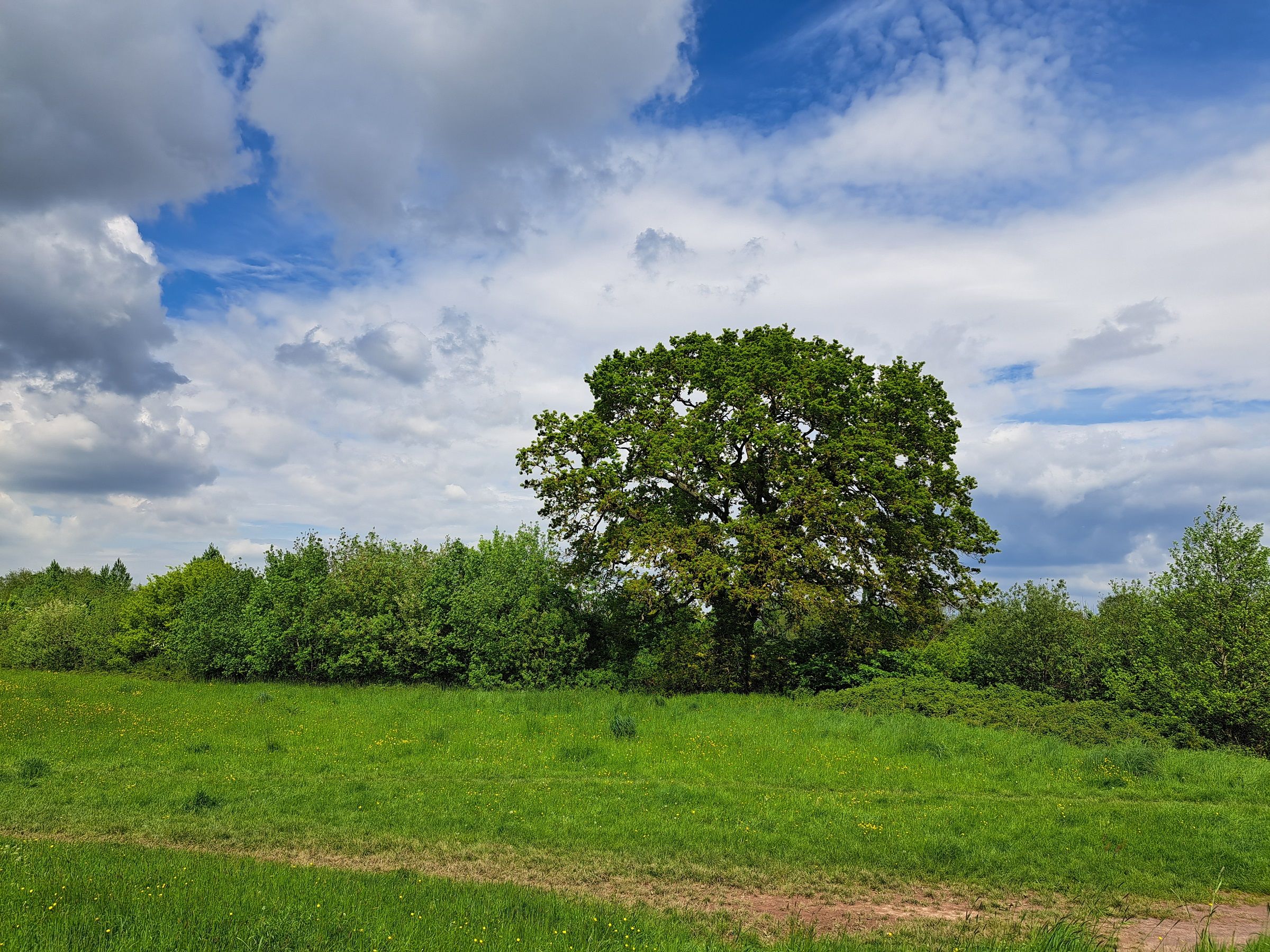 cloudy-sky-summer