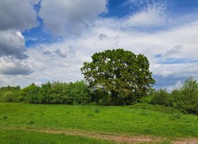 cloudy-sky-summer