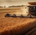combine-harvester-adobestock_603075725-003
