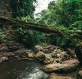 conscious-design-wph196w_u8c-unsplash