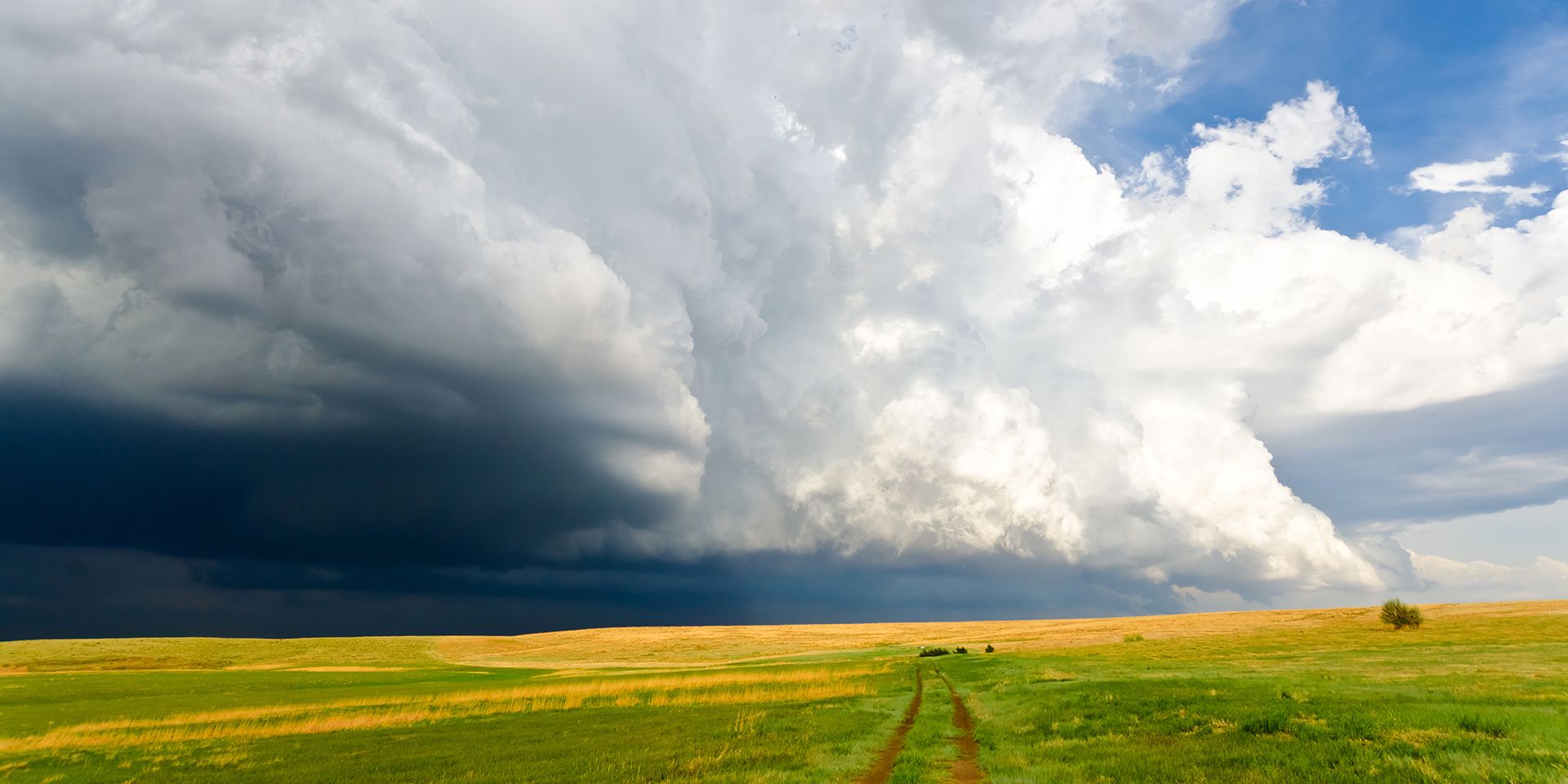 Met Office Deep Dive weather image