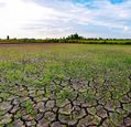 dry-landscape
