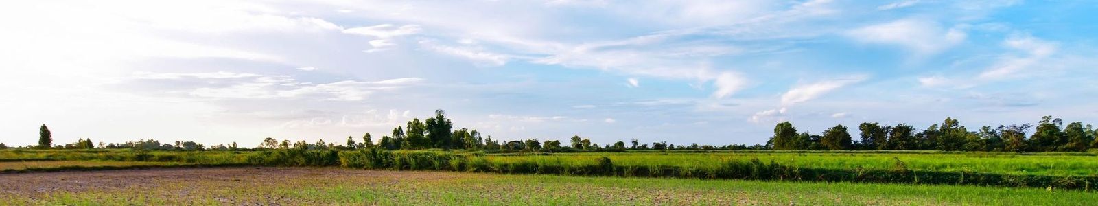Natural climate variability - Met Office