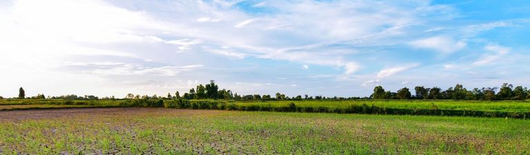 Natural climate variability - Met Office