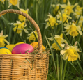 eastercanva