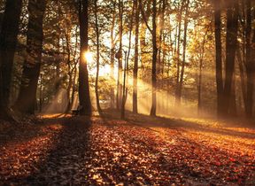 erik-witsoe-366893-unsplash
