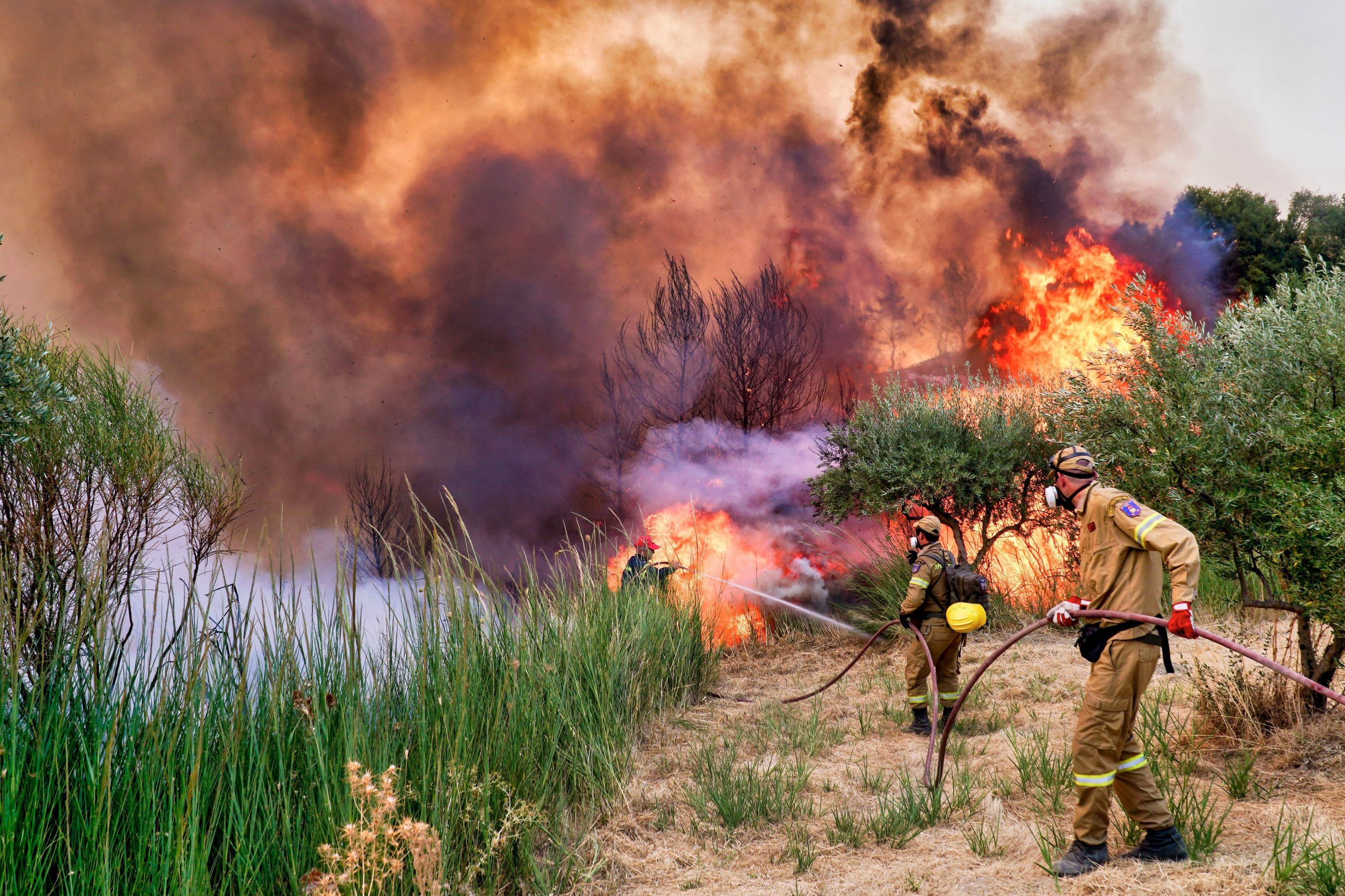 firefighters-wildfire