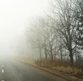 fog-on-a-country-road