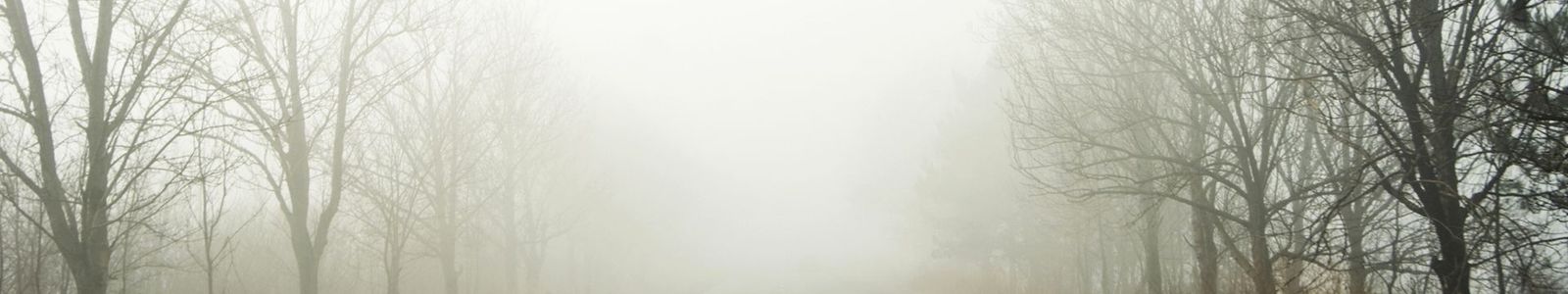 Mist, fog, and haze: What's the difference? - Met Office