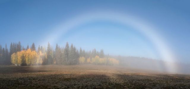 A pale fogbow in mist with little visible color