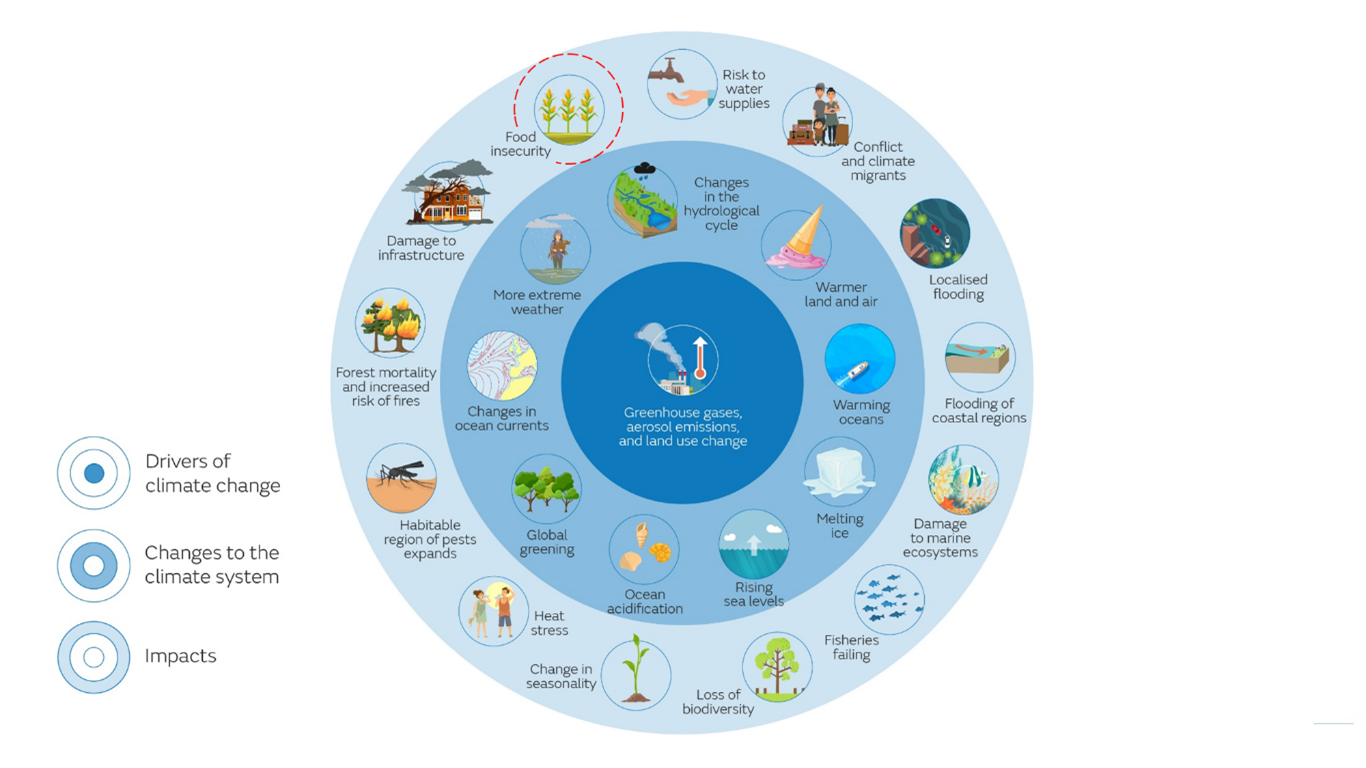 Diagram showing the drivers of climate change, changes to the climate system and impacts