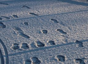 footprints-on-a-snow-covered-road