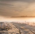 frost-covering-a-sunny-field