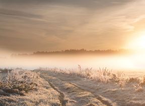frost-covering-a-sunny-field