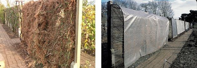 frost-protection-double