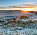 frosty-landscape