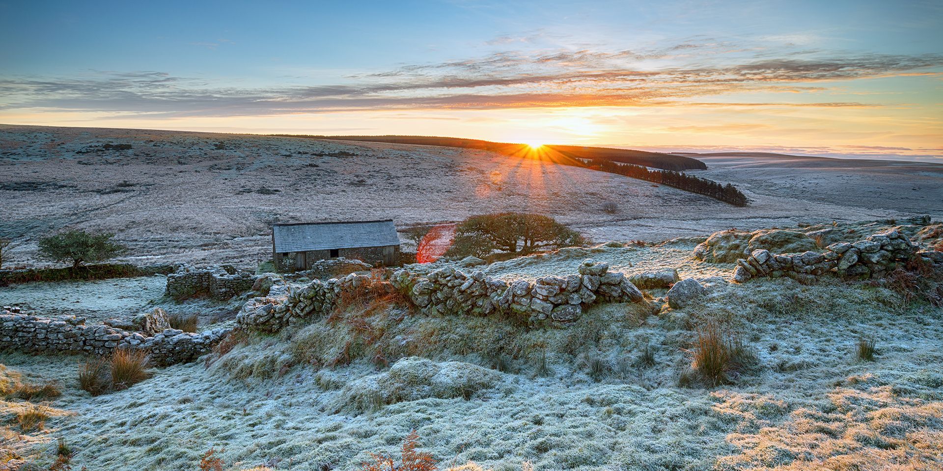 frosty-landscape