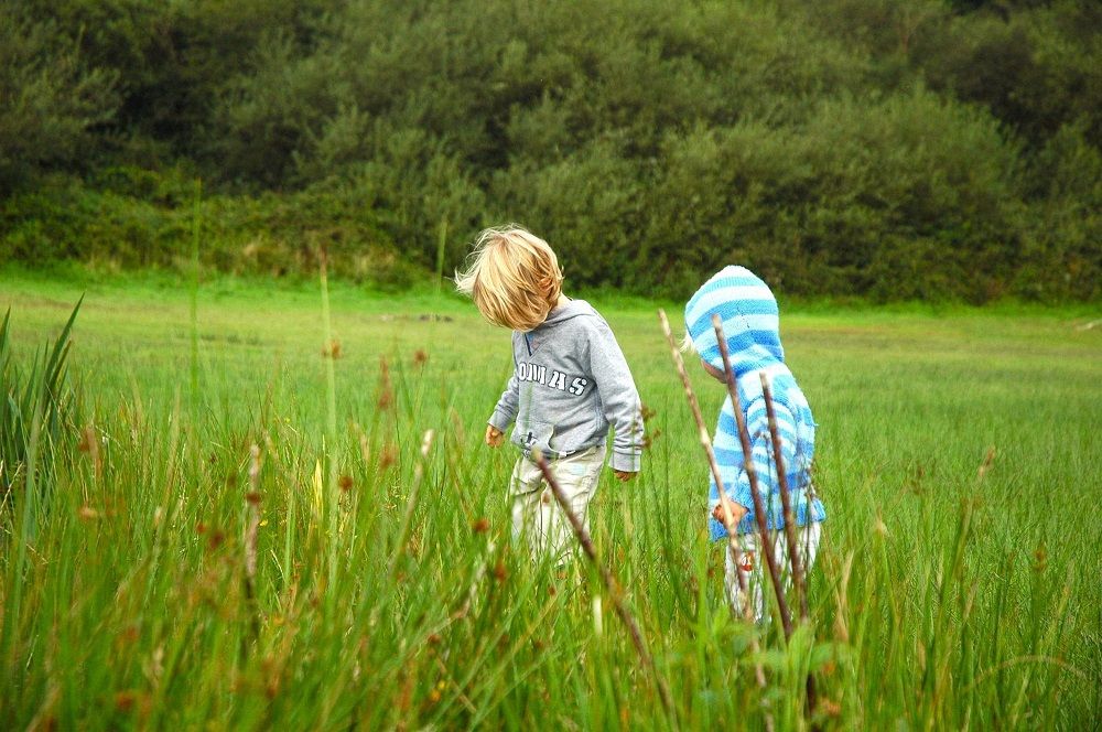 Two young children walking through a field of long grass